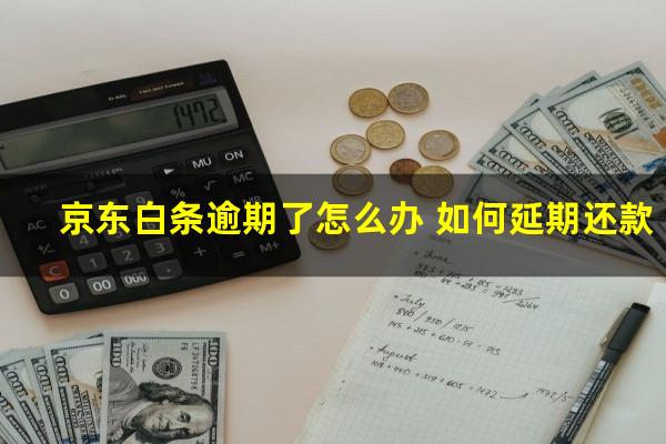 京东白条逾期了怎么办 如何延期还款